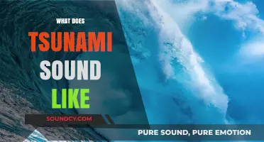 Unveiling the Haunting Sounds of Tsunamis: What to Listen For