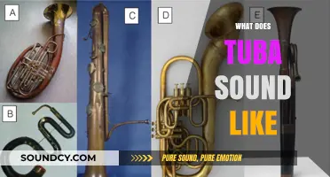 Exploring the Rich, Deep, and Majestic Sound of the Tuba