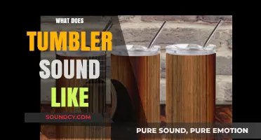 What Does Tumbler Sound Like? Exploring the Unique Acoustic Signature