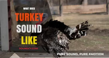 Discovering the Unique Vocalizations: What Does a Turkey Sound Like?