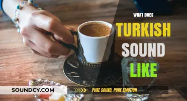 Exploring the Unique Melody and Rhythm of Turkish Language Sounds