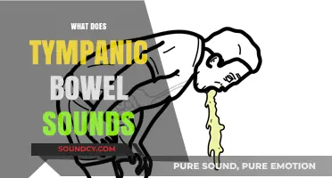 Understanding Tympanic Bowel Sounds: Causes, Significance, and Clinical Implications