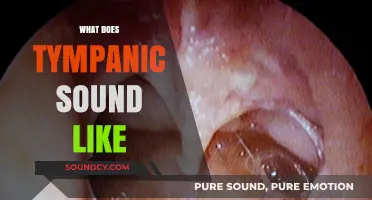 Understanding Tympanic Sounds: What Does a Healthy Ear Drum Sound Like?