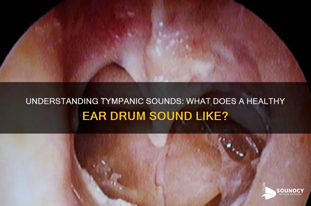 what does tympanic sound like