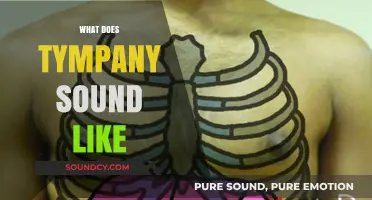 Understanding Tympany: What Does a Hyper-Resonant Abdomen Sound Like?