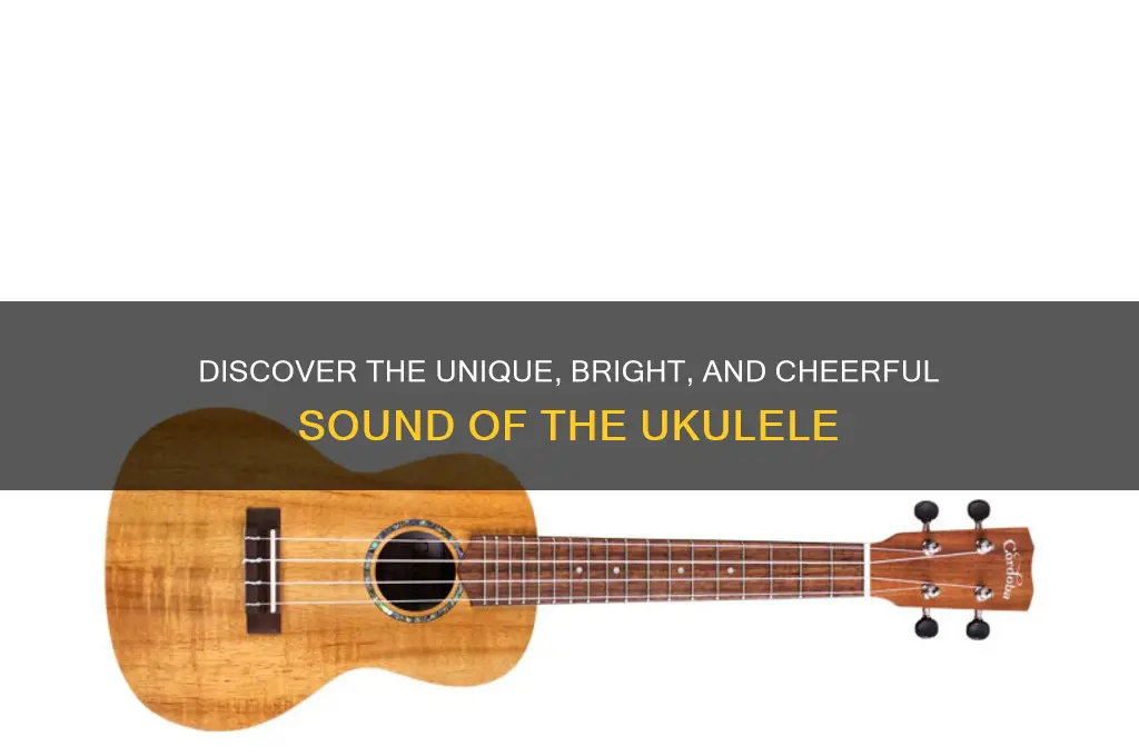 what does ukulele sound like