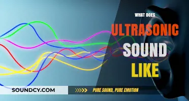 Unveiling the Mystery: What Does Ultrasonic Sound Like to Humans?