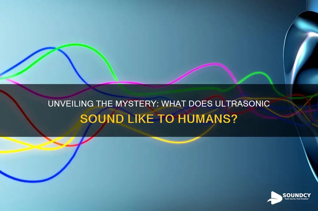 what does ultrasonic sound like