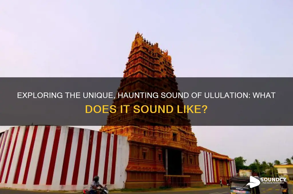 what does ululation sound like