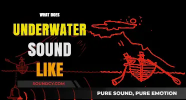 Exploring the Mysterious Soundscape: What Does Underwater Sound Like?