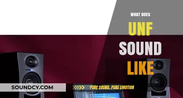 Unf Sound Explained: Decoding the Unique Audio Experience of Unf