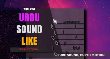 Exploring the Melodic and Poetic Sounds of Urdu Language