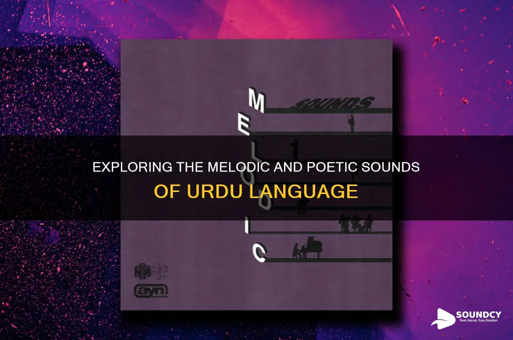 what does urdu sound like
