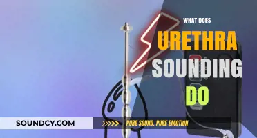 Understanding Urethral Sounding: Purpose, Procedure, and Potential Risks Explained