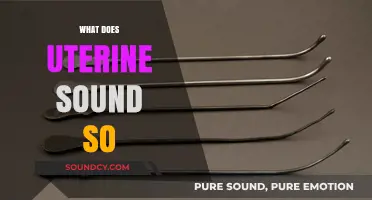 Understanding Uterine Sounds: What They Mean and Why They Matter