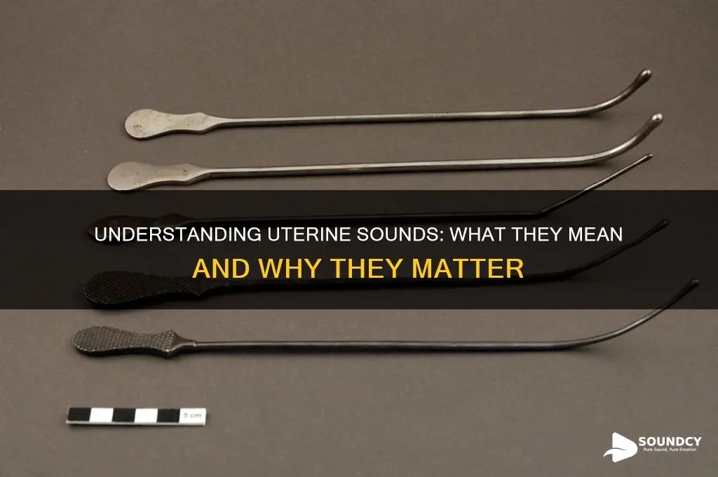 what does uterine sound so