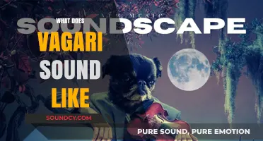 Exploring the Ethereal, Nomadic Soundscapes of Vagari Music