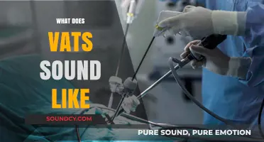 Unveiling the Unique Auditory Experience: What Does VATS Sound Like?