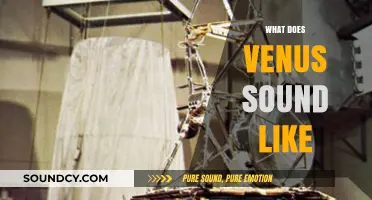 Exploring Venus' Sonic Secrets: What Sounds Echo on the Hostile Planet?
