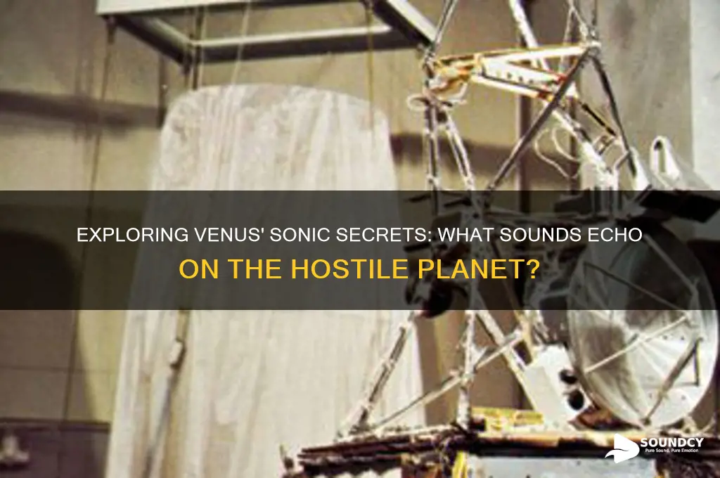 what does venus sound like