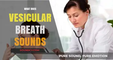 Understanding Vesicular Breath Sounds: Causes, Characteristics, and Clinical Significance