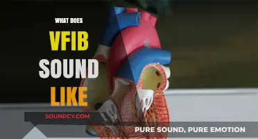 Unraveling the Chaotic Rhythm: What Does VFib Sound Like?