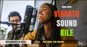 Understanding Vibrato: The Unique Sound and Its Musical Impact Explained