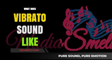 Understanding Vibrato: Its Unique Sound and Musical Impact Explained