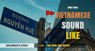 Exploring the Unique Tones and Rhythms of Vietnamese Speech