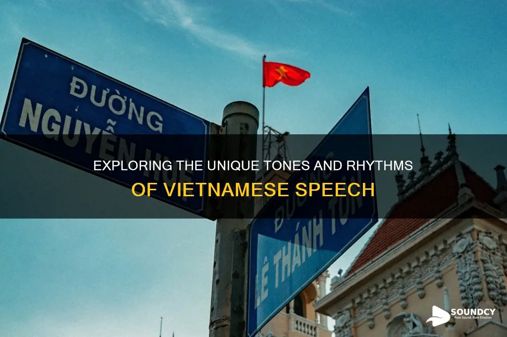 what does vietnamese sound like