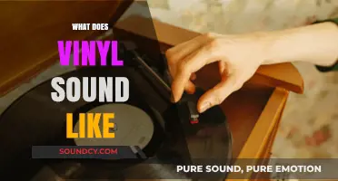 The Unique Warmth and Depth of Vinyl's Signature Sound