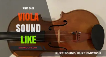 Discover the Rich, Warm, and Expressive Sound of the Viola