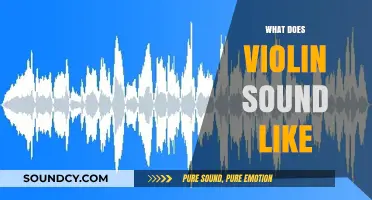 Exploring the Rich, Expressive, and Unique Sound of the Violin