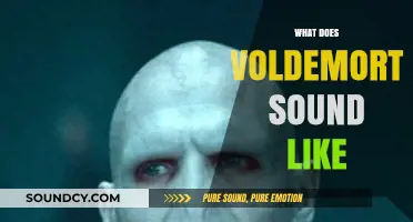 Unveiling Voldemort's Voice: A Deep Dive into His Chilling Tone