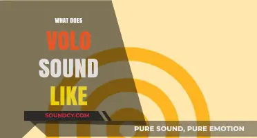 Exploring the Unique Sonic Identity: What Does Volo Sound Like?