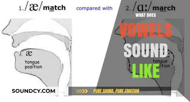Exploring the Unique Sounds of Vowels: A Comprehensive Guide to Their Pronunciation