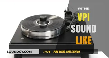 Exploring the Unique Sonic Signature of VPI Turntables