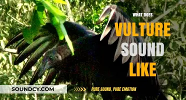 Unveiling the Unique and Haunting Sounds of Vultures in Nature