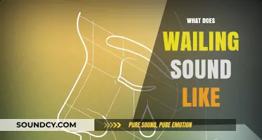 Unraveling the Haunting Melody: What Does Wailing Truly Sound Like?