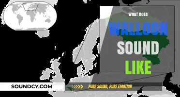 Exploring the Unique Sounds and Rhythms of the Walloon Language