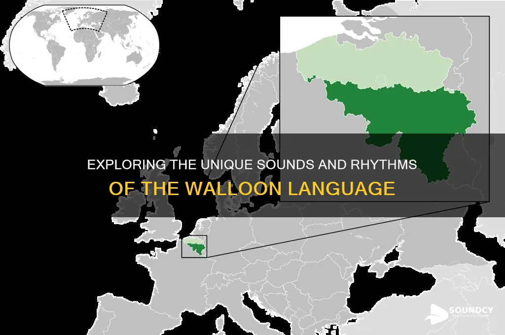what does walloon sound like