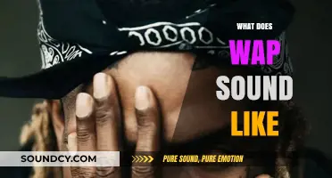 Exploring the Unique Sonic Signature of WAP: What Does It Sound Like?