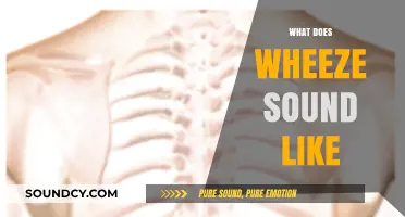 Understanding Wheezing: What Does a Wheeze Sound Like and Why?