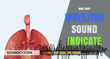 Understanding Wheezing: What Those Noisy Breath Sounds May Indicate