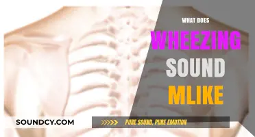 Understanding Wheezing: What Does a Wheezing Sound Actually Sound Like?