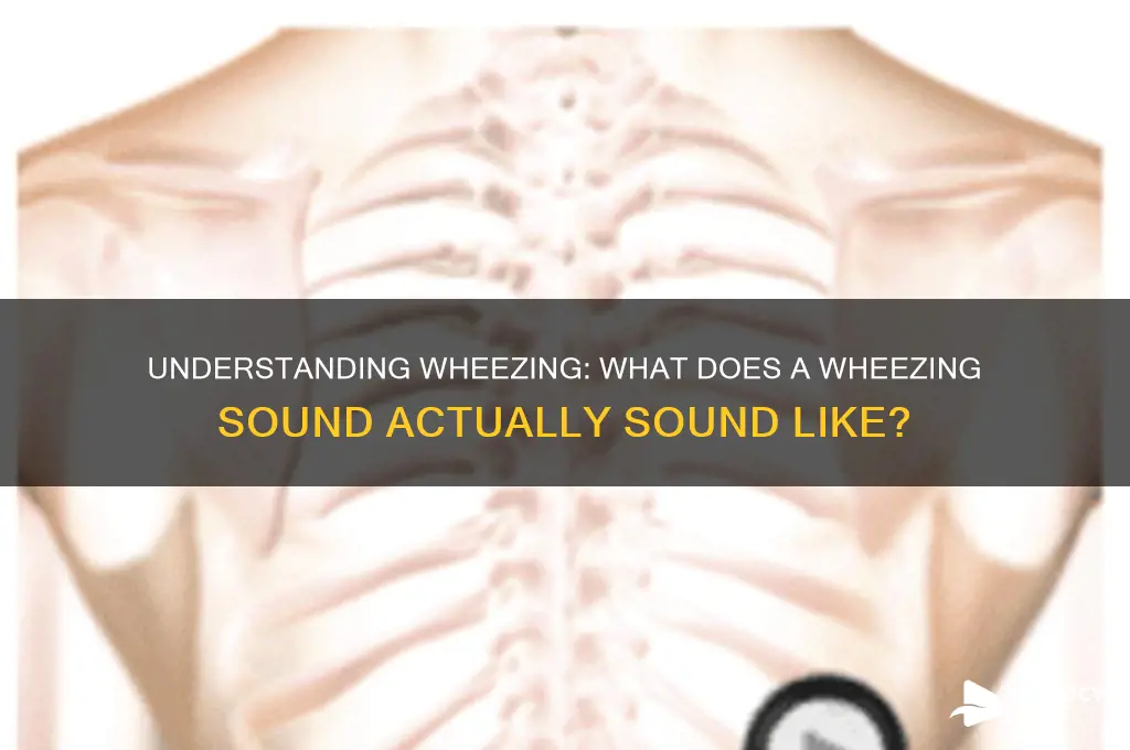 what does wheezing sound mlike