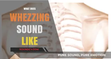 Understanding Wheezing: What Does a Wheezing Sound Actually Sound Like?