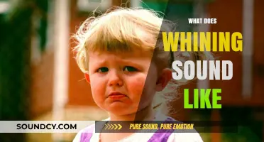 Understanding the Distinctive Tone and Pitch of Whining Sounds