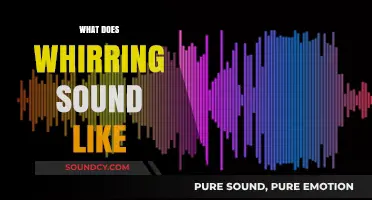 Decoding the Whirring Sound: A Comprehensive Auditory Exploration