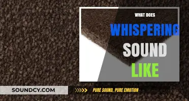 Unveiling the Soft Mystery: What Does Whispering Truly Sound Like?